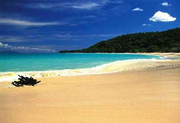 Ciel bleu et une plage parfaite