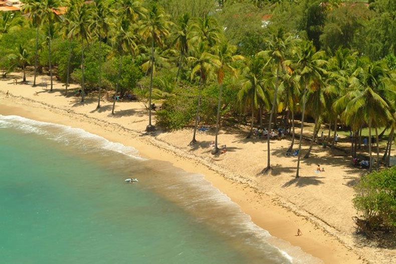 Magnifique plage en Martinique