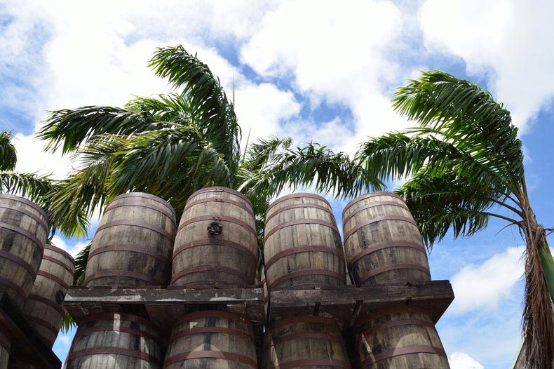 Tonneaux de rhum en Martinique