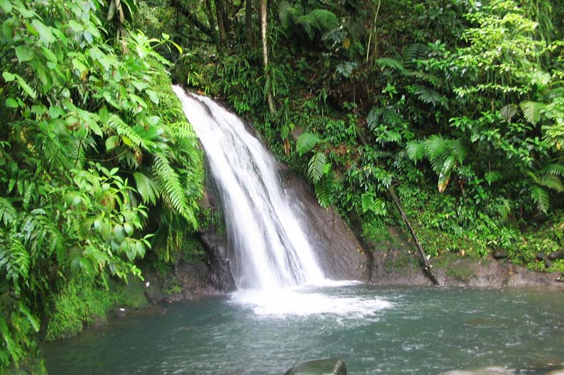La cascade aux écrevisses