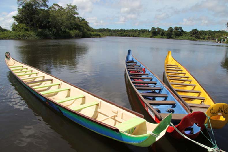 Pirogues sur marais de Kaw en Guyane