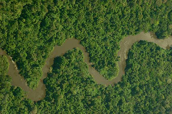 magnifique Guyane