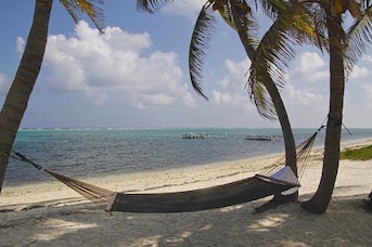 Plage Guadeloupe Hamac Palmiers