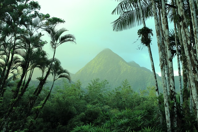 Paysage vu des Jardins de Balata