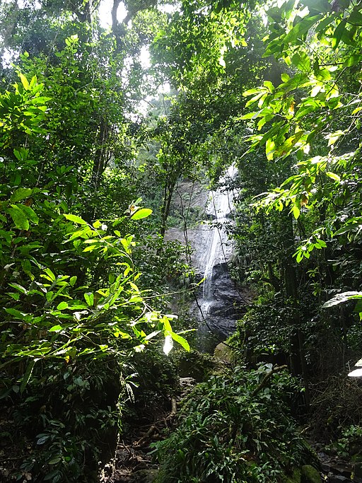 Cascade Couleuvre en Martinique