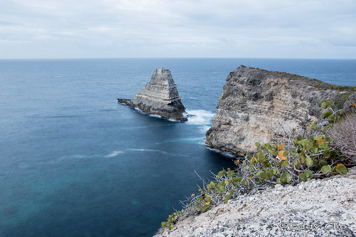 La Pointe des Chateaux, incontournable pour réussir son voyage en guadeloupe ! 