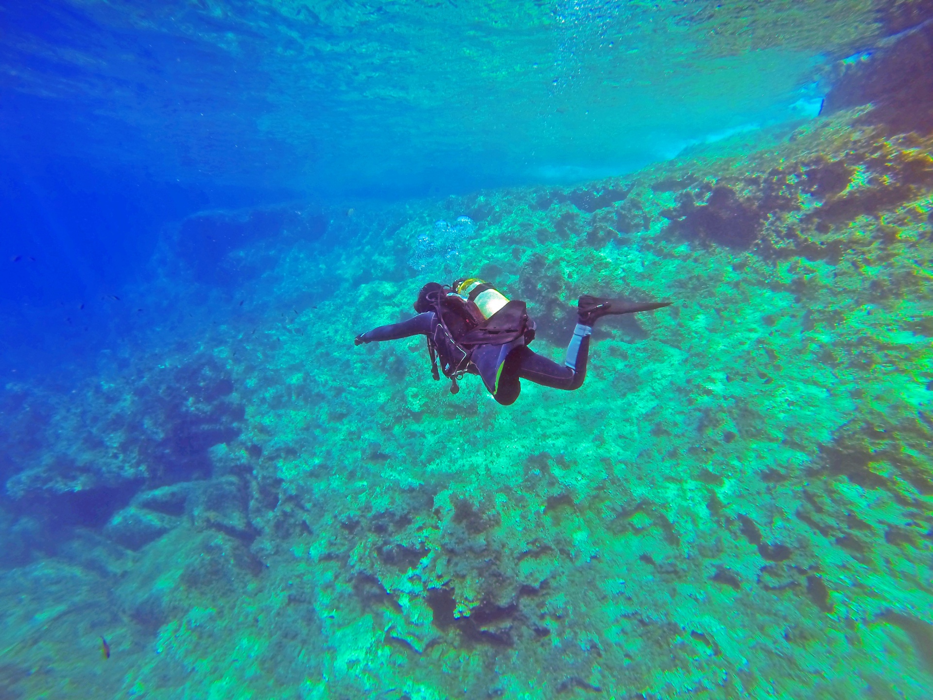 Plongée en martinique