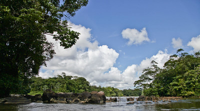 Paysage de rivière en Guyane