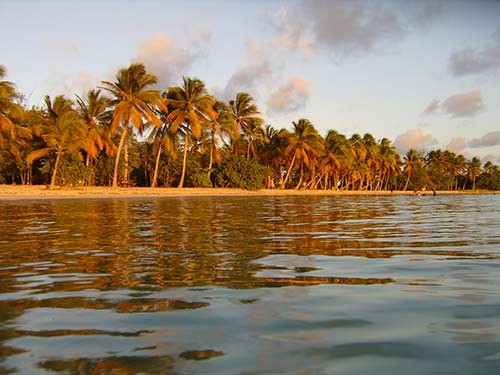 Découvrez les plages de Martinique avec une voiture de location  